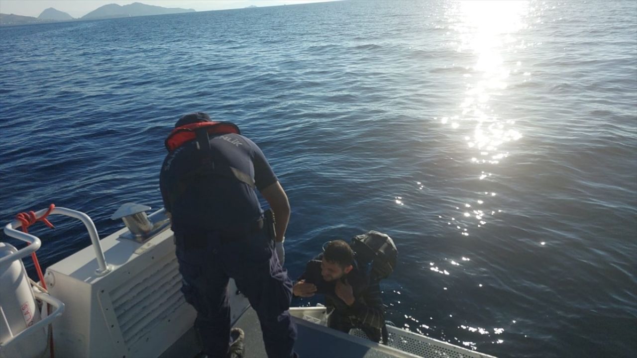 Bodrum'da Düzensiz Göçmen Yüzerek Yunanistan'a Geçmeye Çalışırken Yakalandı