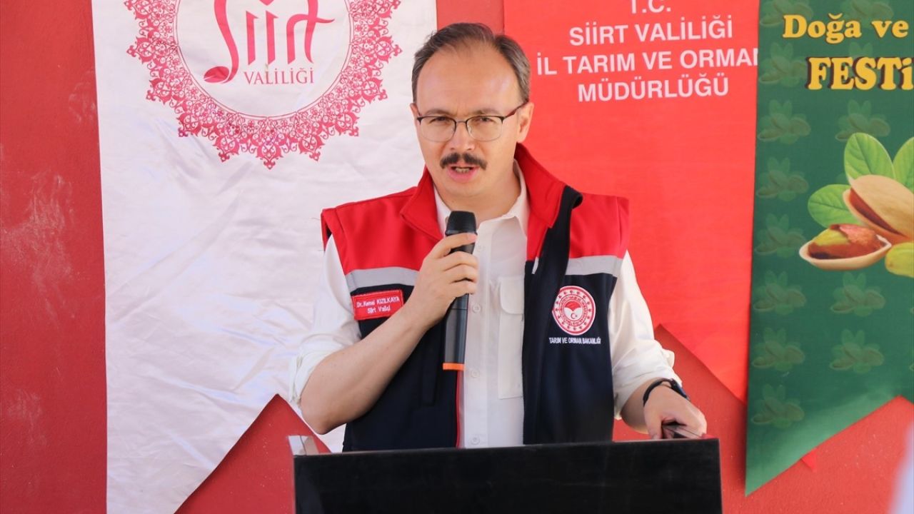 Siirt'te Fıstık Hasadı Coşkusu