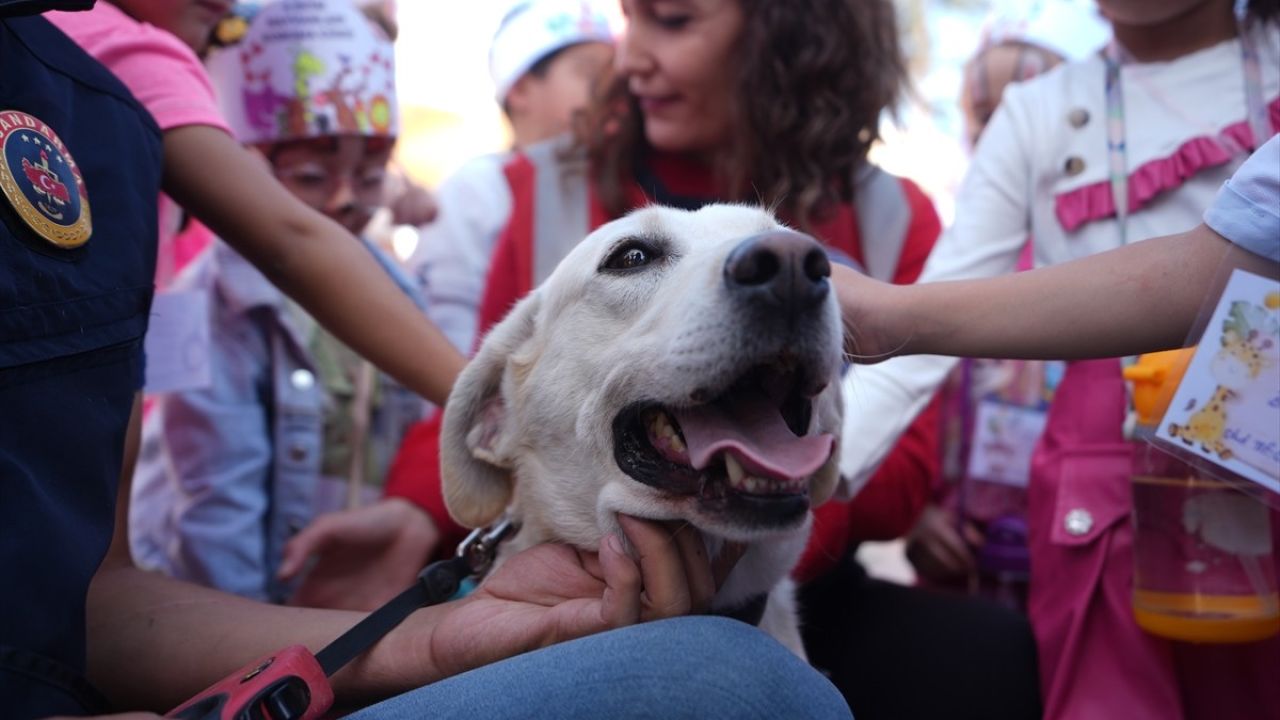 Düzce'de Hayvanları Koruma Günü Etkinliği