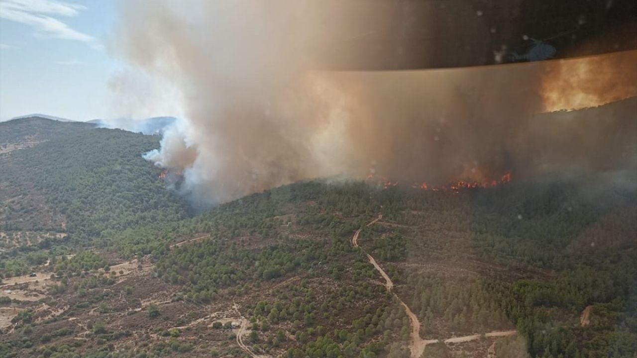 İzmir'de Orman Yangınına Karşı Hızlı Müdahale