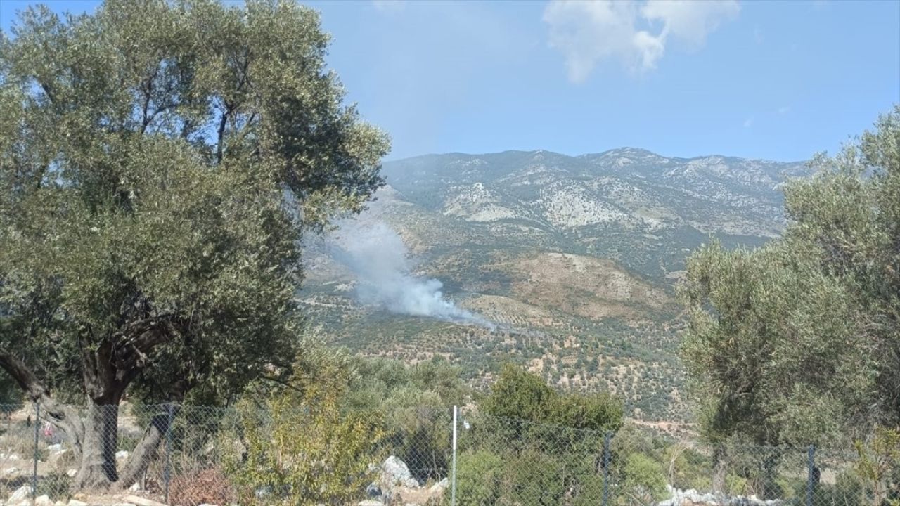 Muğla Seydikemer'deki Yangında 2 Hektar Tarım Alanı Zarar Görüldü