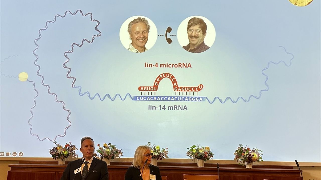 2024 Nobel Tıp Ödülü MikroRNA Keşfine Gitti