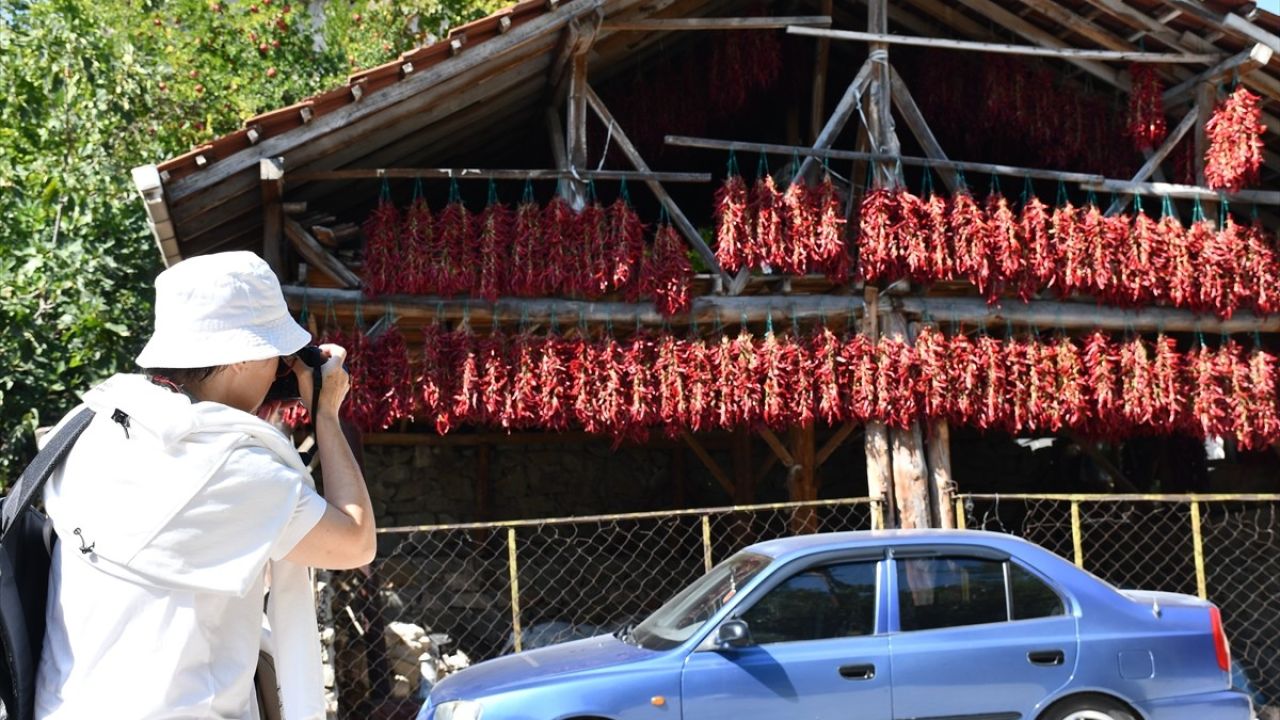 Çukurören Köyü'nde Tescilli Biberin Fotoğraf Cenneti