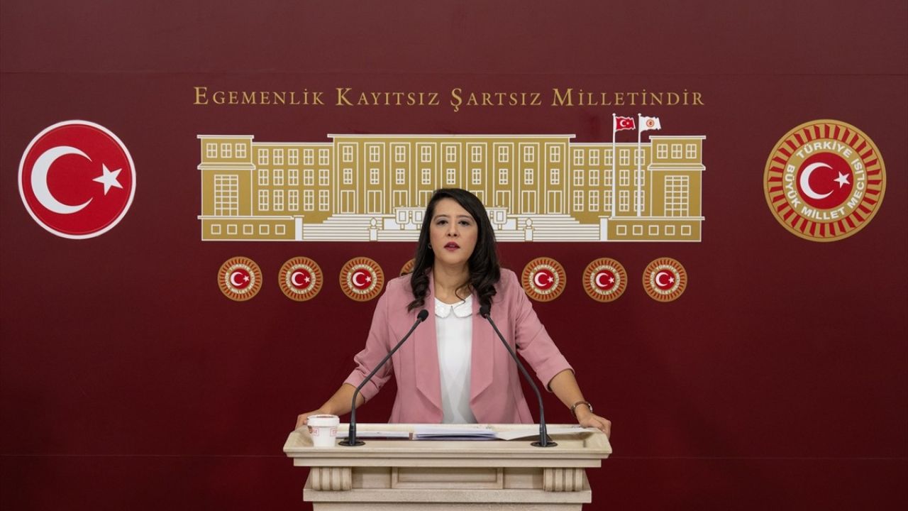 Kadına ve Çocuğa Yönelik Şiddetle Mücadele: EMEP'li Demir Açıklamalarda Bulundu