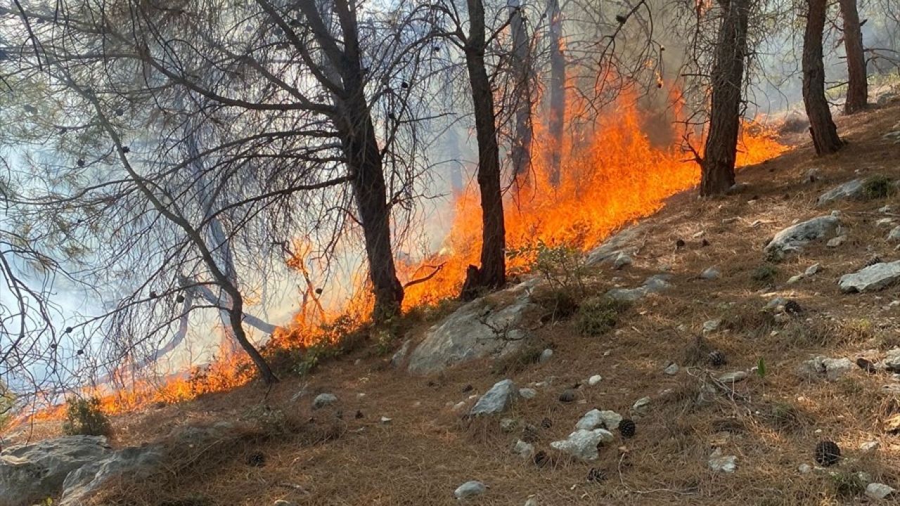 Mersin'de Orman Yangını Kontrol Altına Alındı