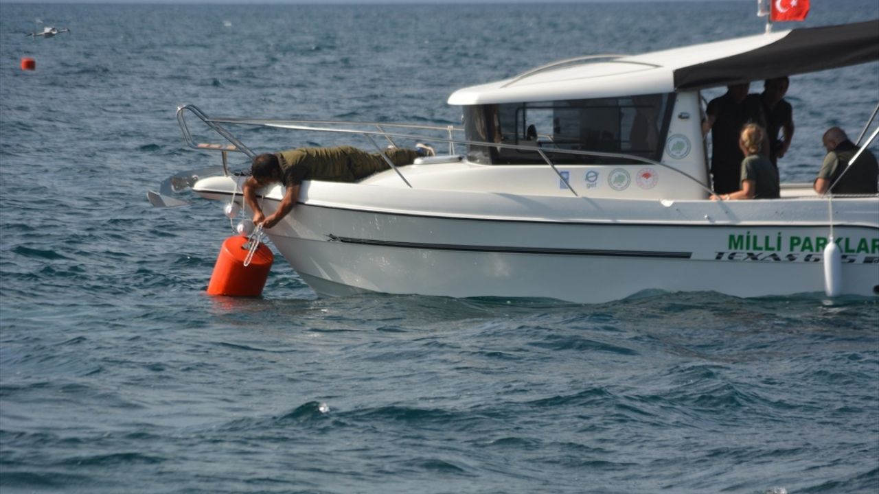 Ayvalık'ta Deniz Ekosistemini Koruma Projesi