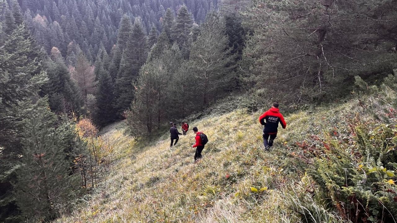 Bolu'da Yaylada Kaybolan Yaşlı Çift İçin Arama Çalışmaları Devam Ediyor