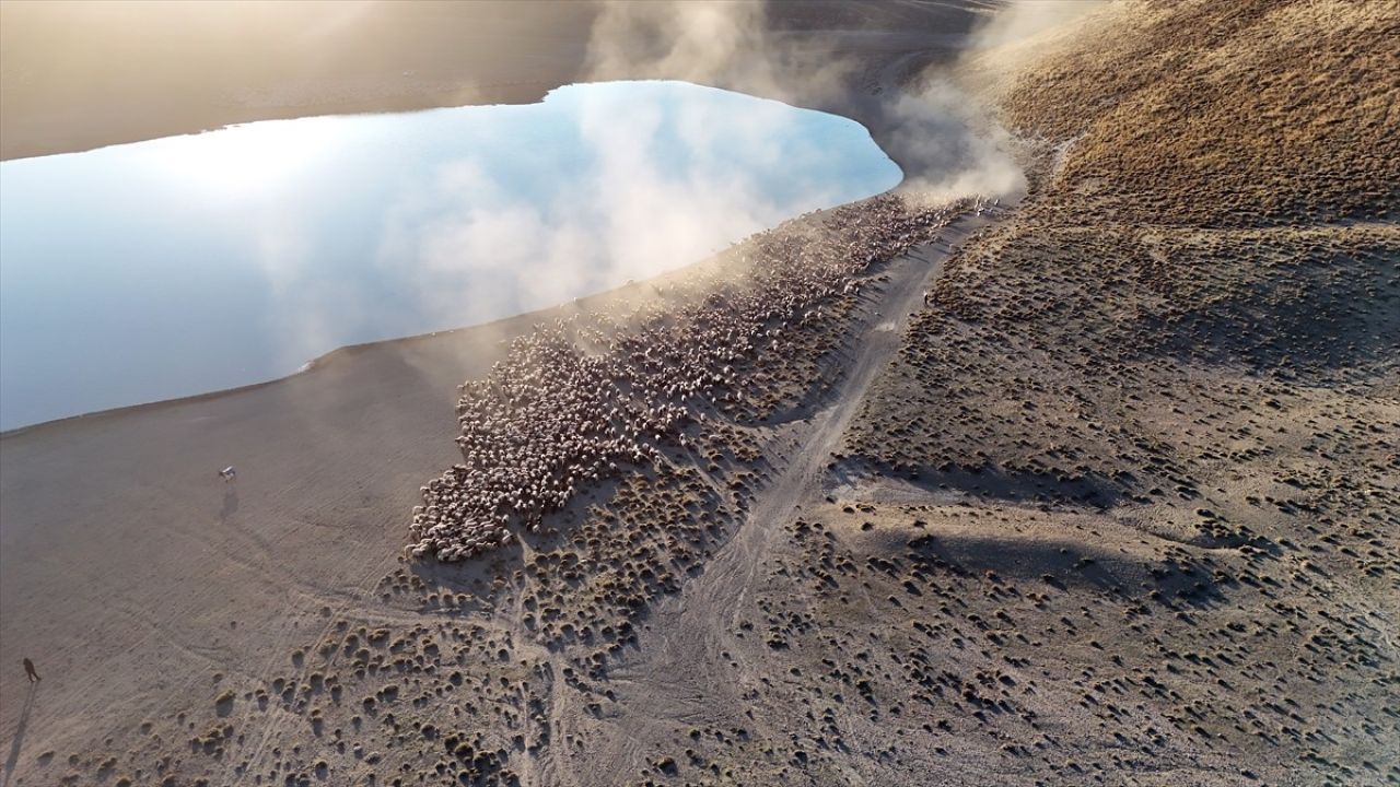 Nemrut Dağı'ndaki Sürülerin Su İhtiyacı