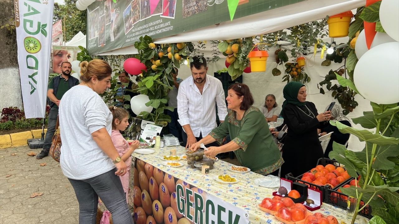 Yalova'da 11. Kivi Festivali Coşkuyla Kutlandı