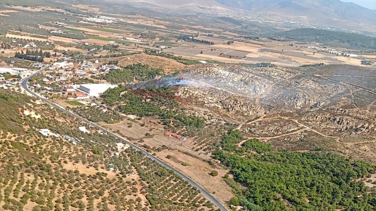 İzmir'de Orman Yangınına Hızlı Müdahale