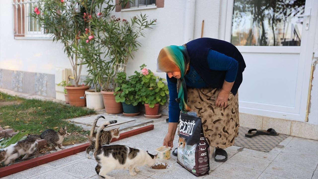 Kayseri'de Yaşlı Kadının Kedi Maması Talebi Karşılandı