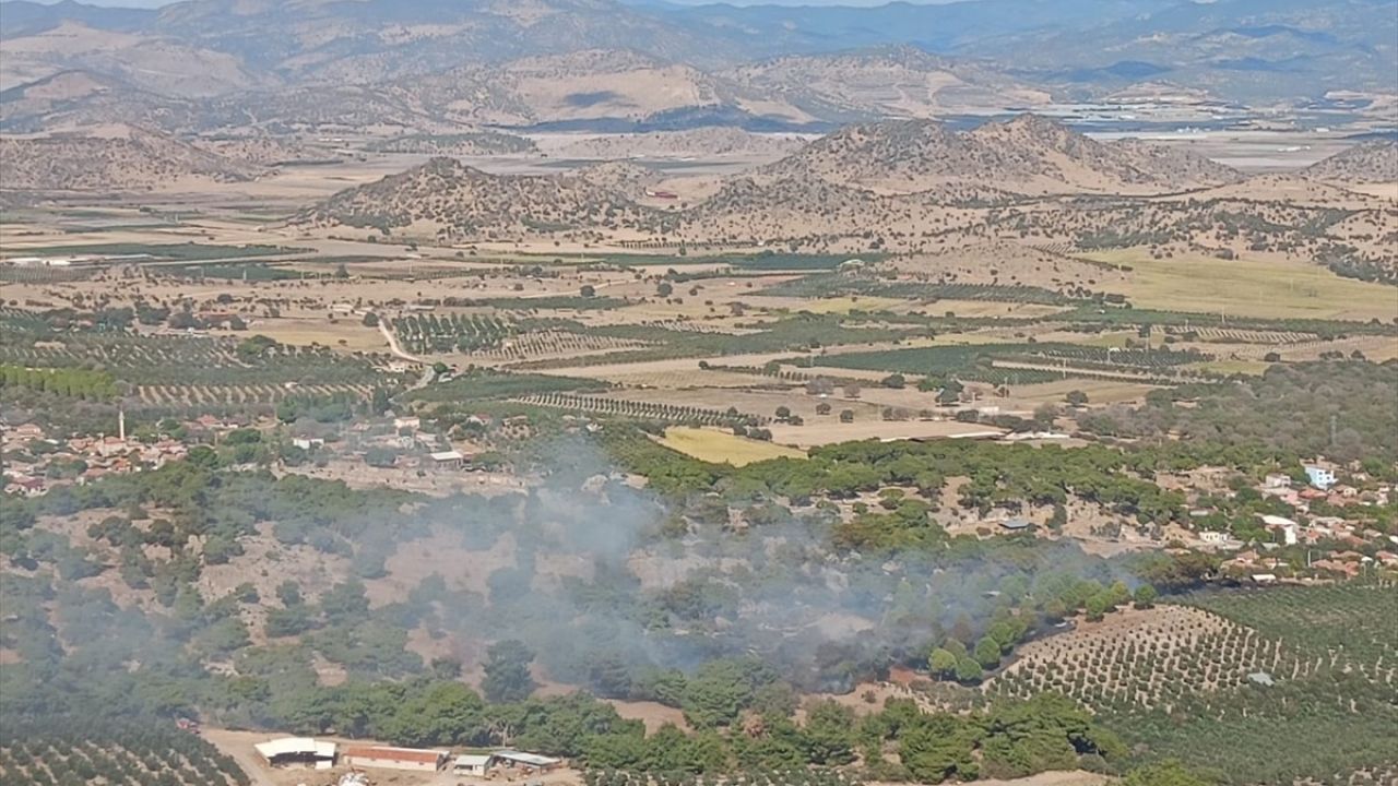 İzmir'de Tarım Arazisinde Çıkan Yangın Ormana Sıçradı