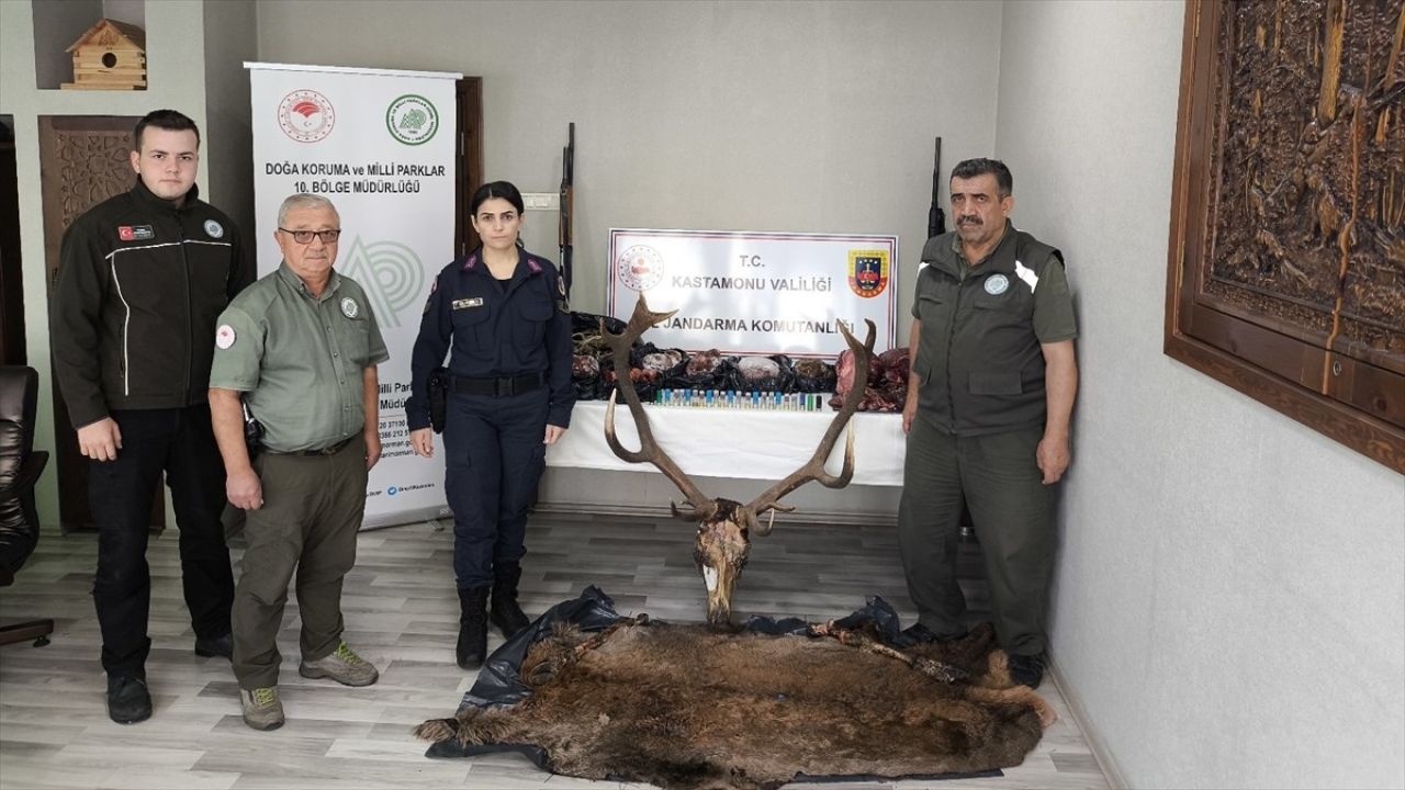 Kastamonu'da Kaçak Avcılara Baskın: Geyik Eti ve Sucuk Ele Geçirildi