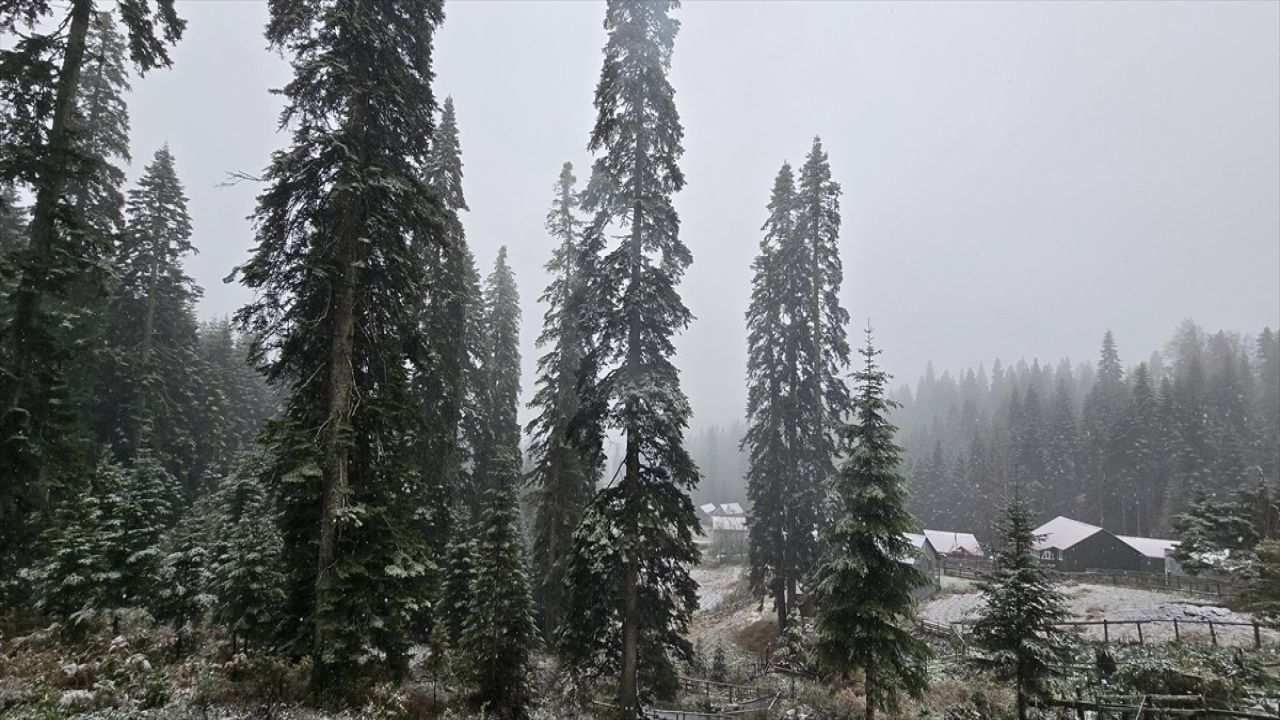 Düzce ve Bolu'da Kar Yağışı Etkili Oldu