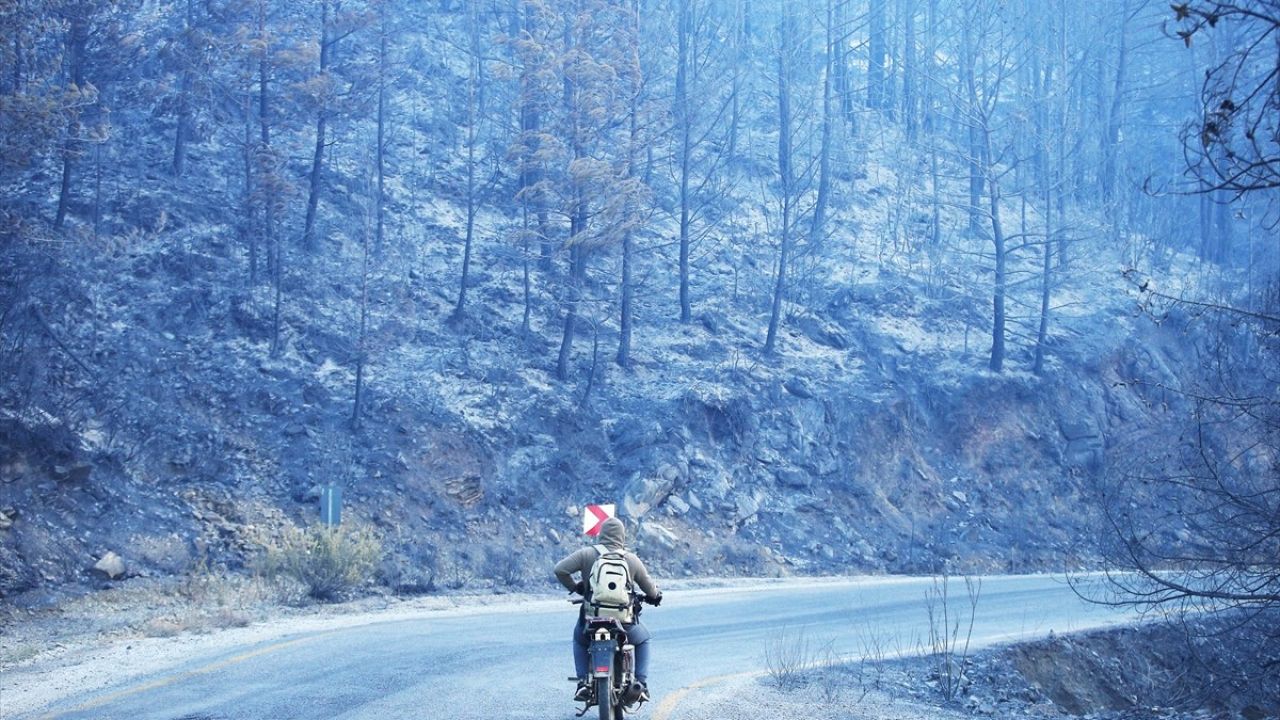 Dalaman'daki Orman Yangınına Müdahale Devam Ediyor