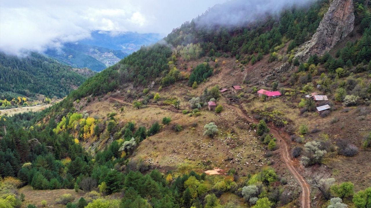 Zigana Dağı Sonbaharda Renk Cümbüşü Sunuyor