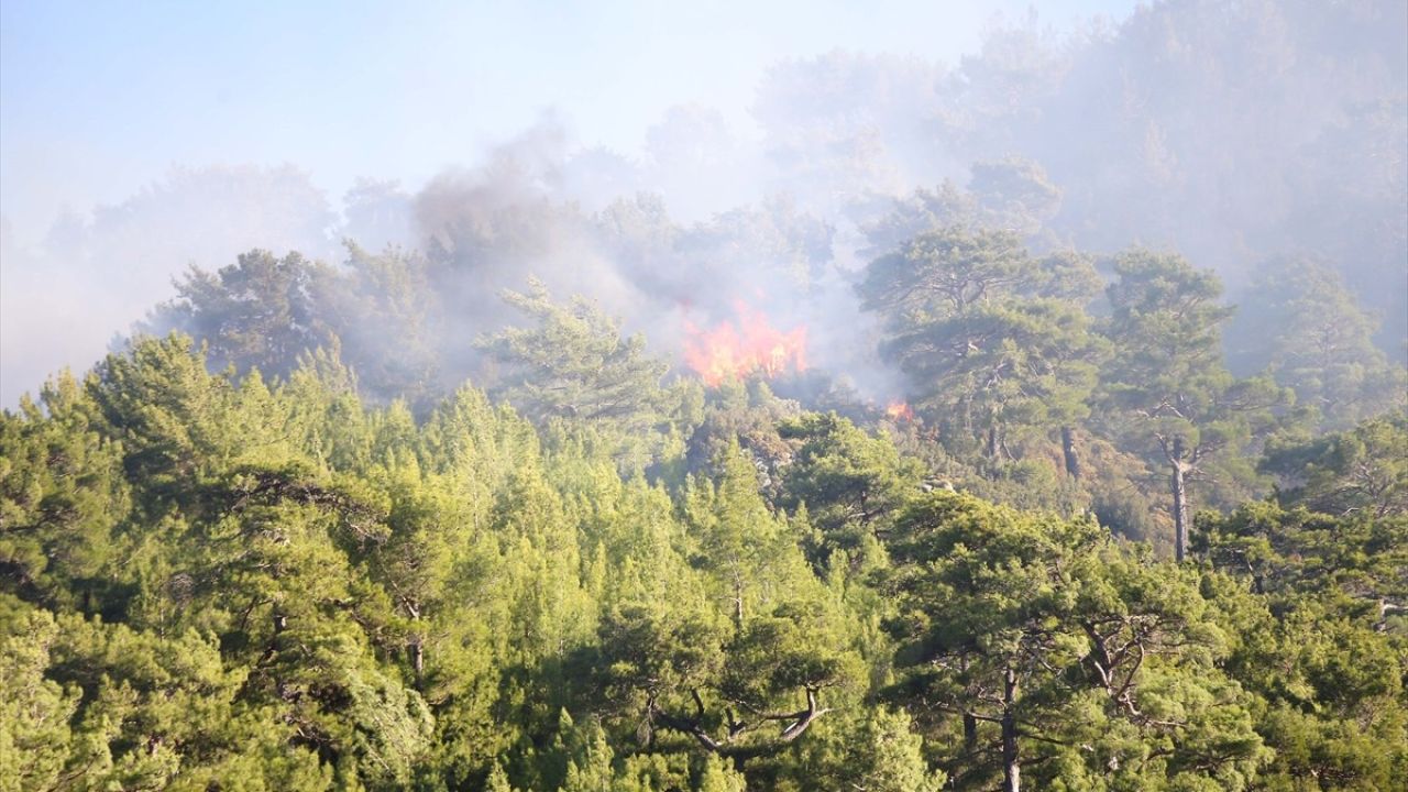 Muğla'daki Orman Yangınlarına Müdahale Devam Ediyor