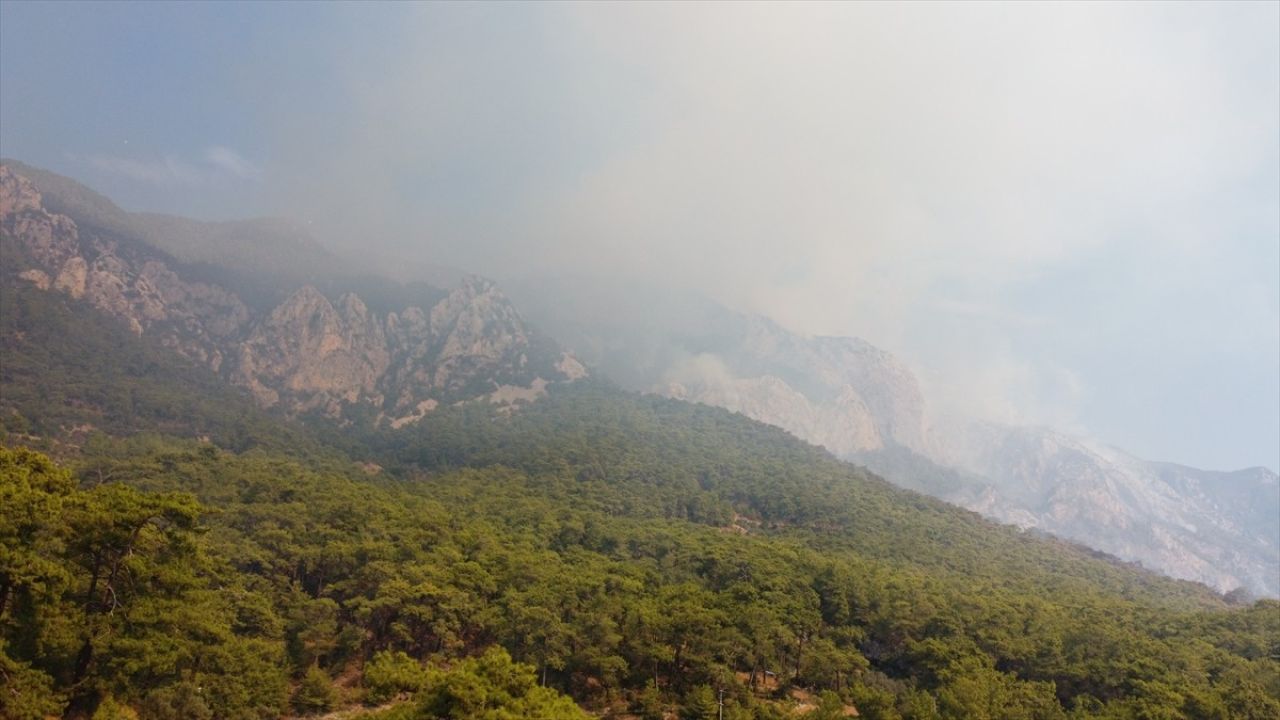 Muğla'daki Orman Yangınlarına Sürekli Müdahale