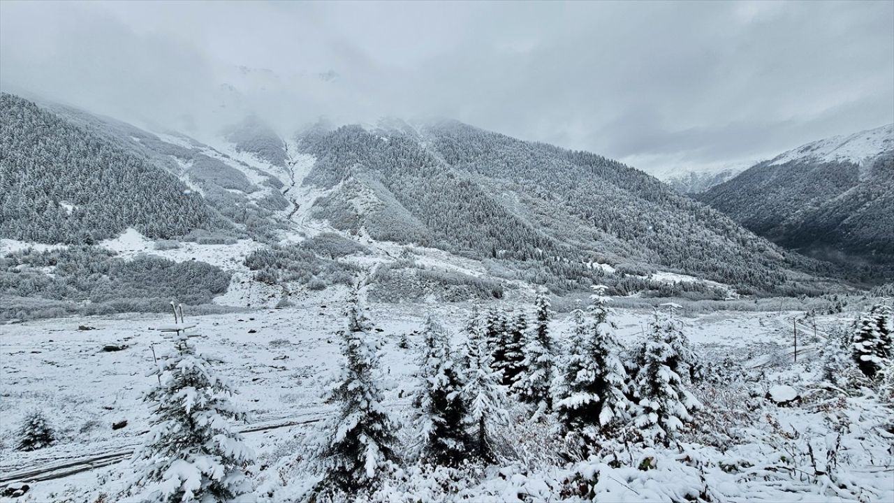 Rize'de Besicilerin Yaylacı Dönüşü Başladı