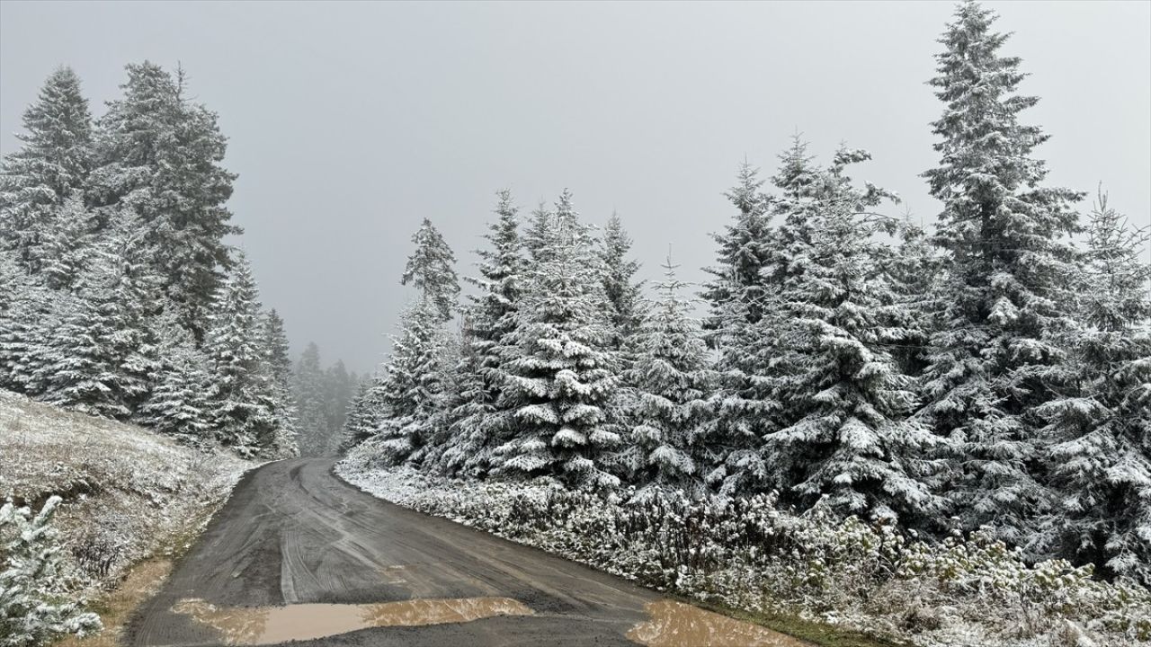 Artvin'deki Köy Yolları Yeniden Ulaşıma Açıldı