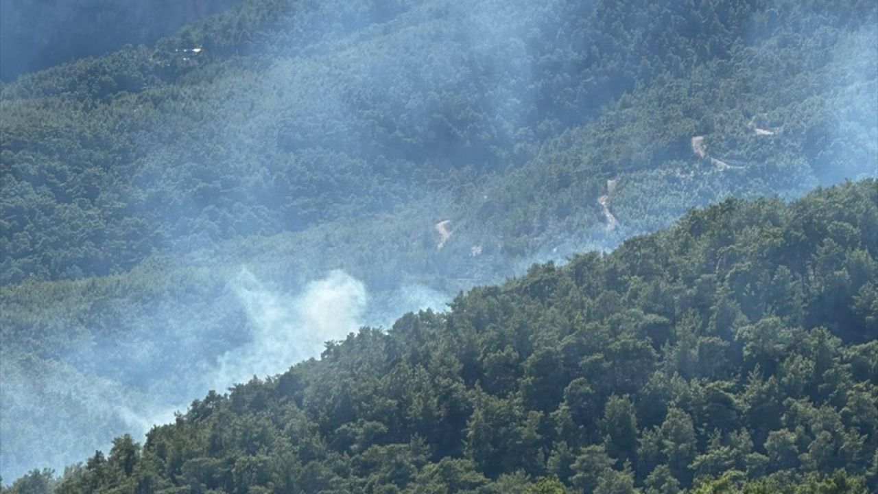 Erdemli'de Orman Yangını Kontrol Altına Alındı