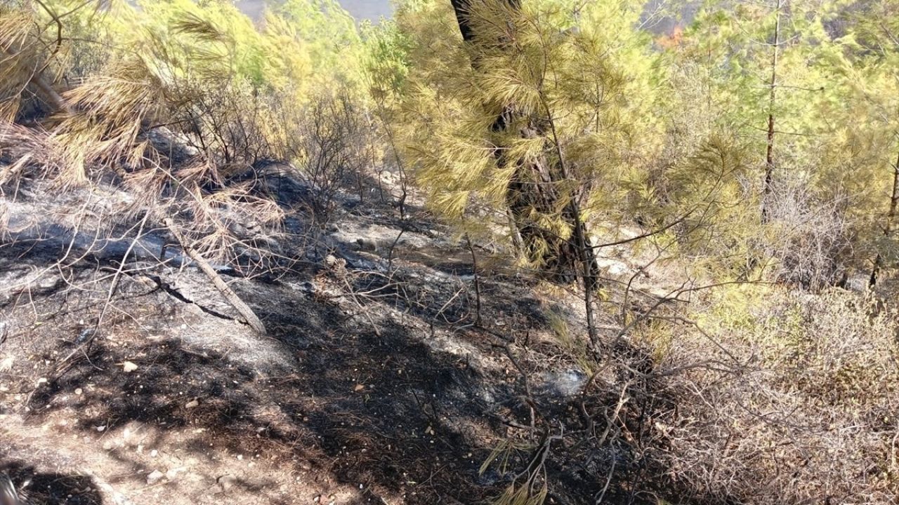 Antalya'da Orman Yangını: 2 Hektar Alan ve Bir Ev Zarar Gördü