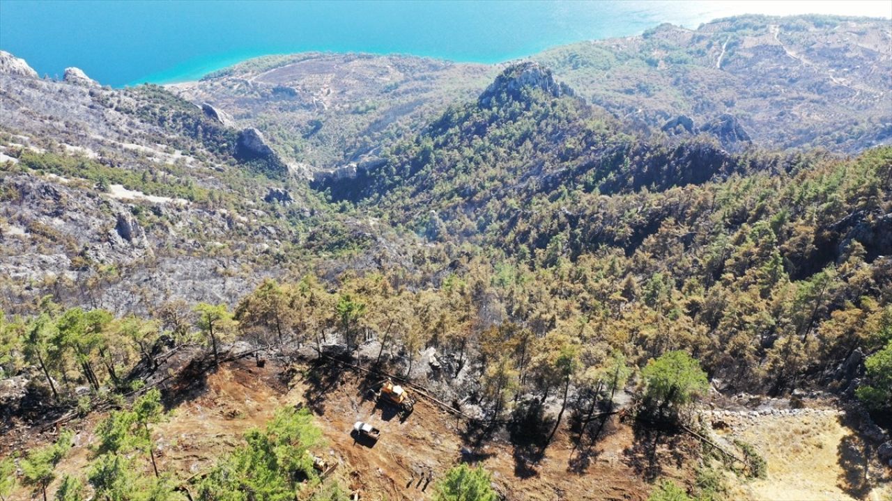 Menteşe'de Yangın Şeridiyle Alevler Kontrol Altına Alındı