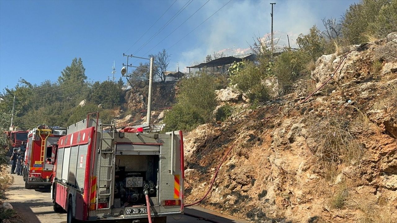 Antalya'da Yangın Felaketi: 50 Küçükbaş Hayvan Telef Oldu