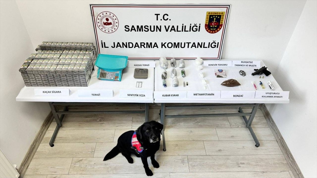 Samsun'da Uyuşturucu Operasyonu: 'Tahra' Başarıyla Görevde