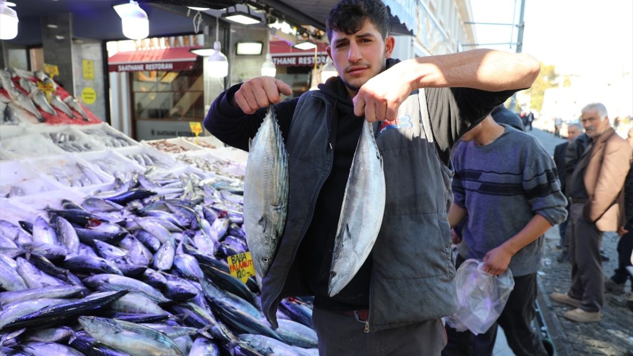 Karadeniz'de Palamut Yüzleri Güldürüyor