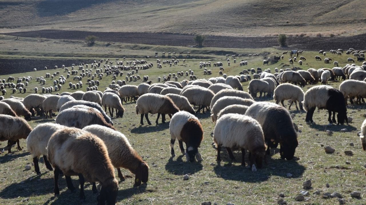 Muş'ta Göçerlerin Dönüş Yolculuğu Başladı