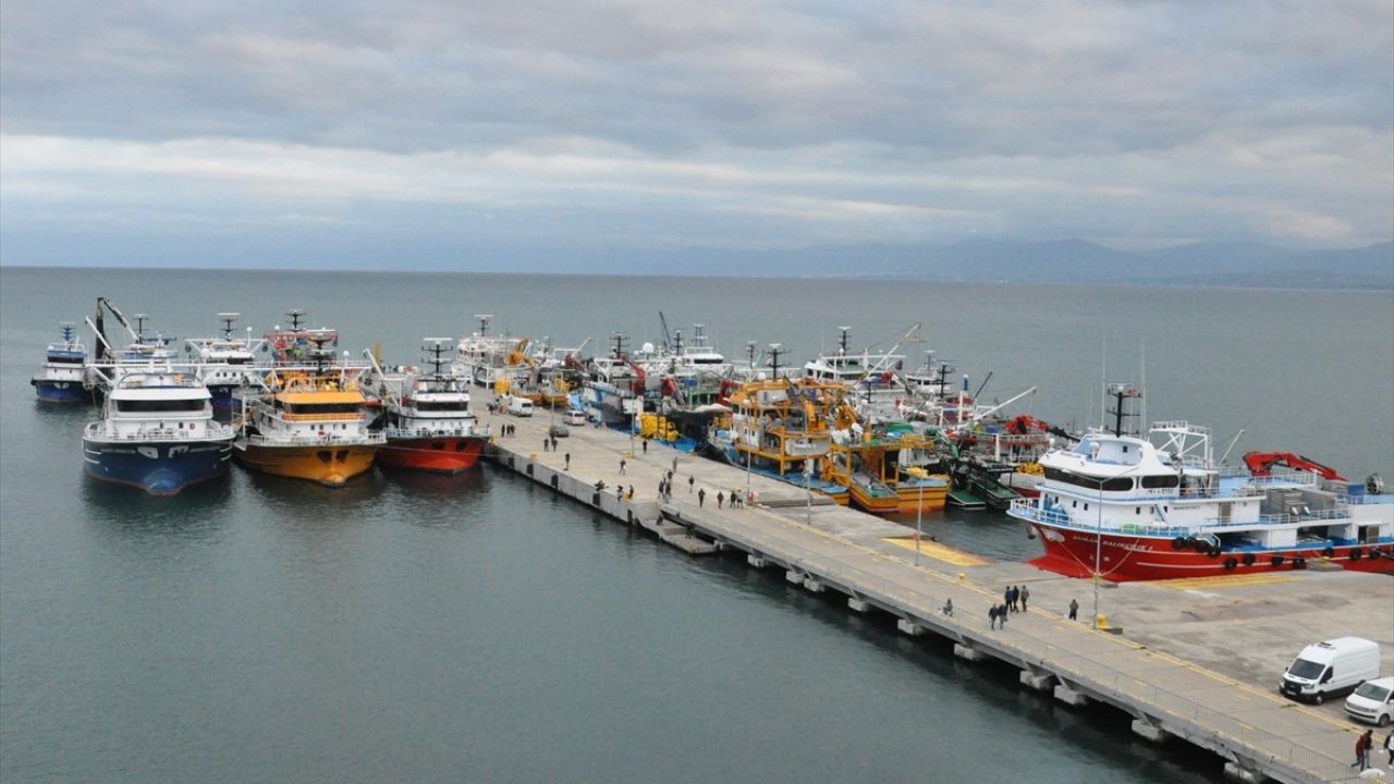 Sert Rüzgar Nedeniyle Balıkçılar Sinop Limanı'na Sığındı