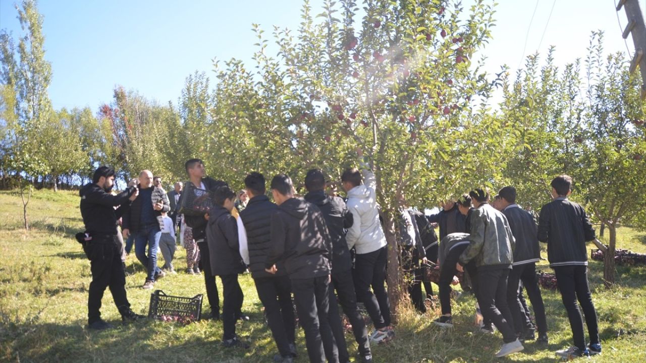 Hakkari'deki Tarım Öğrencileri Elma Hasadı Gerçekleştirdi