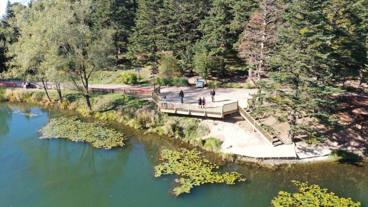 Bolu'nun Turizm Potansiyeli Zirveye Çıkıyor