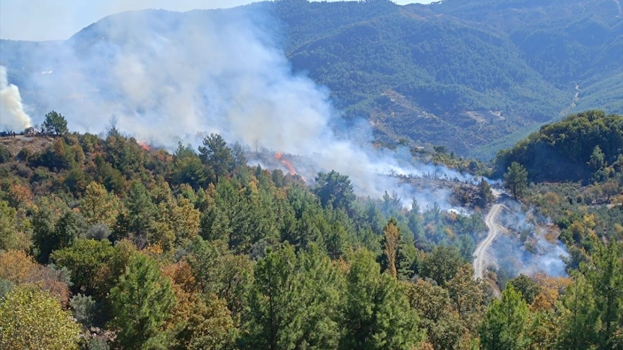 Alanya'da Zirai Yangın Kontrol Altına Alındı