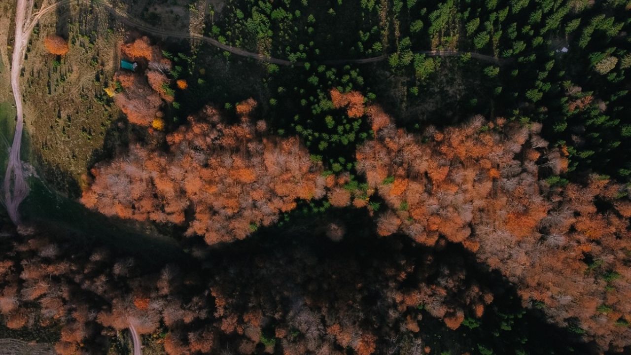 Bosna Hersek'in Güneyi Sonbahar Renkleriyle Şahlanıyor