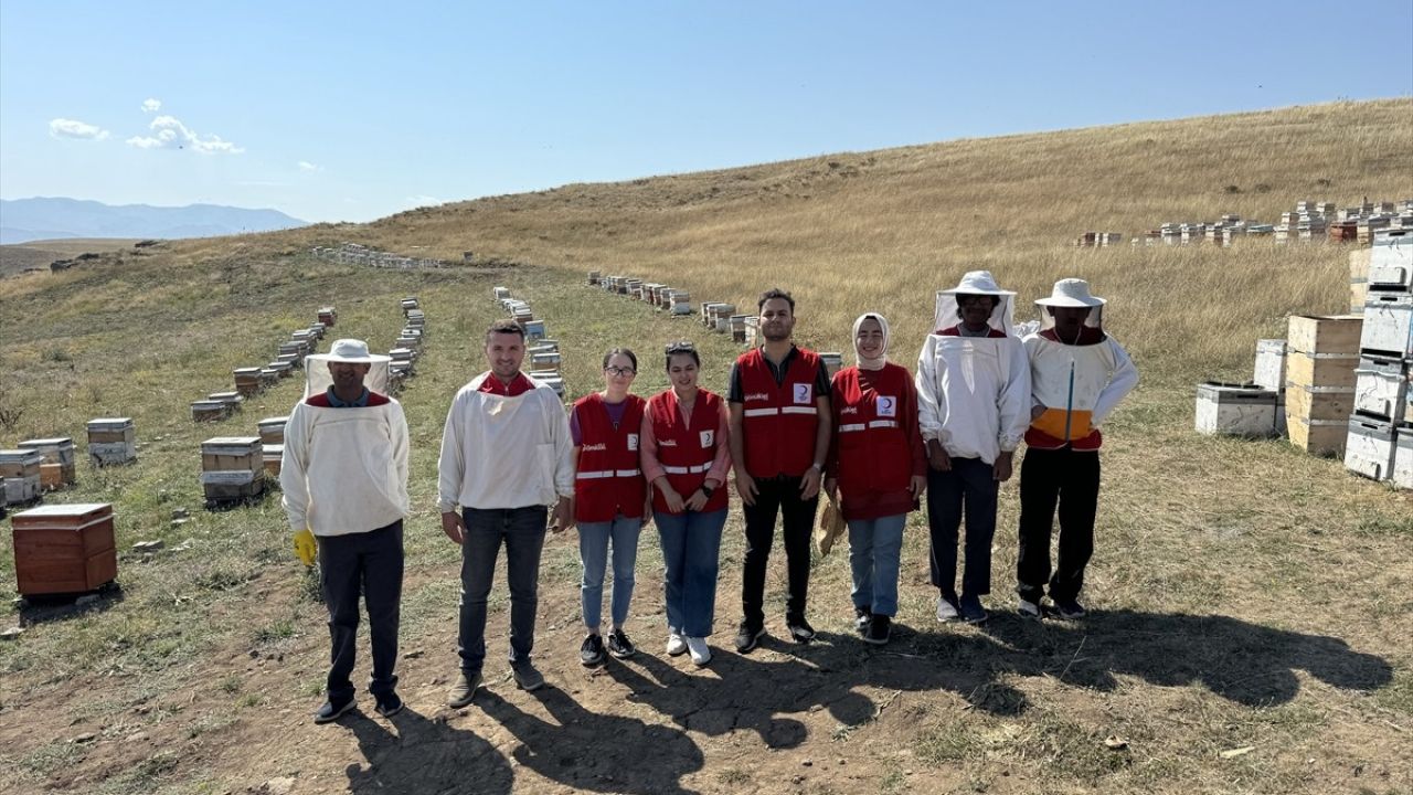 Kızılay'ın Arıları ile İyilik Projesi: Şifa ve Destek