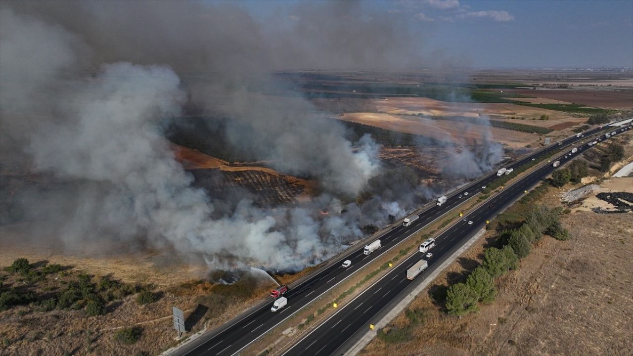 Adana'daki Ağaçlık Alandaki Yangın Kontrol Altına Alındı