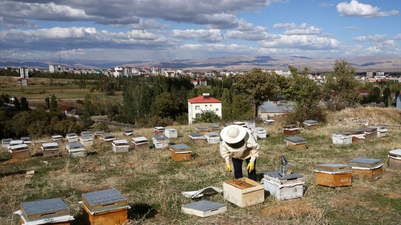 Muşlu Arıcıdan Yurt Dışına Bal İhracatı