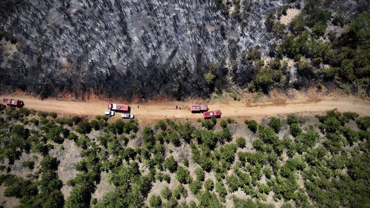 Çankırı'da Orman Yangını Kontrol Altına Alındı