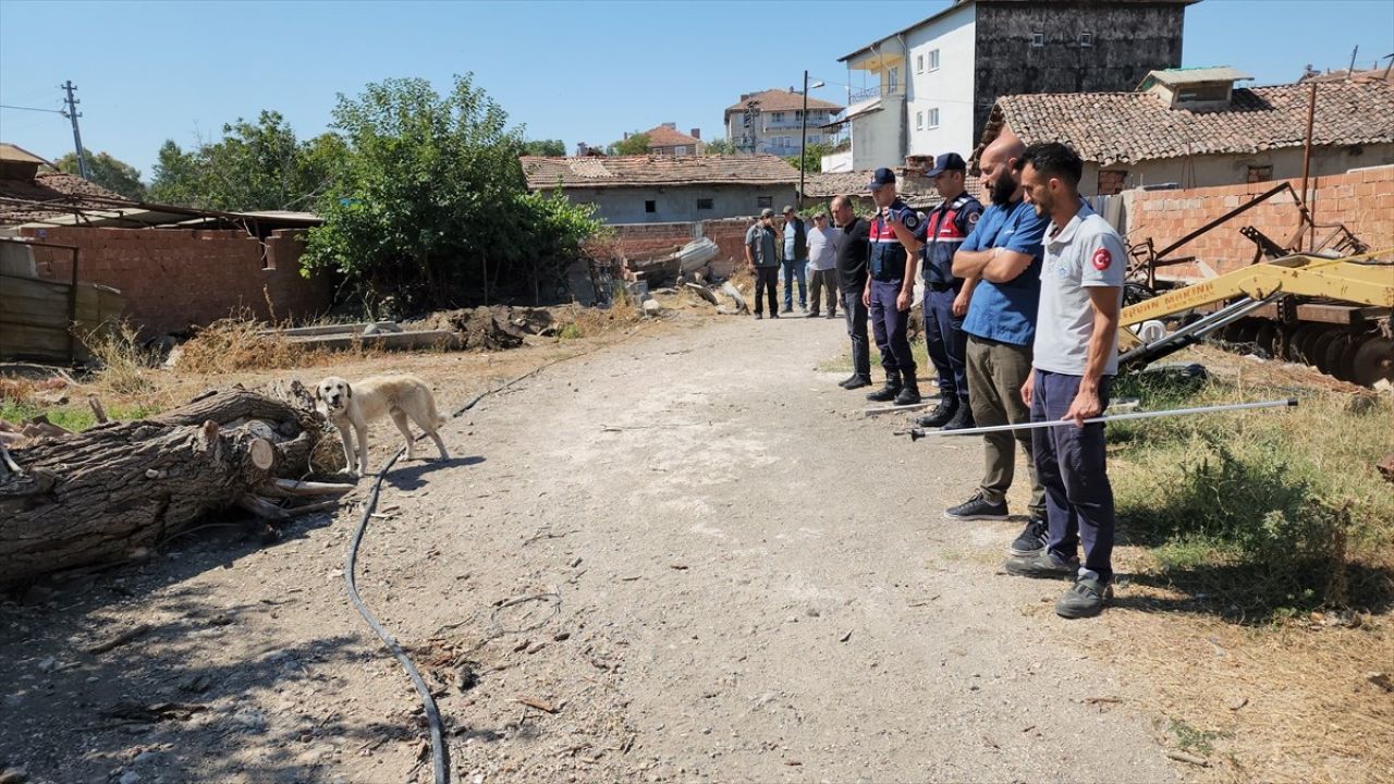 Amasya'da Sürüklenen Köpek Tedavi Altına Alındı