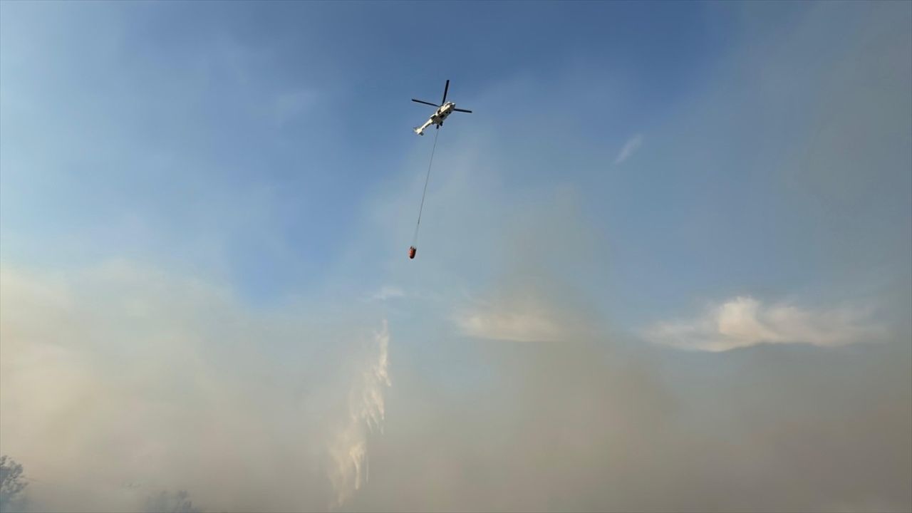 Hatay'daki Orman Yangını Kontrol Altında