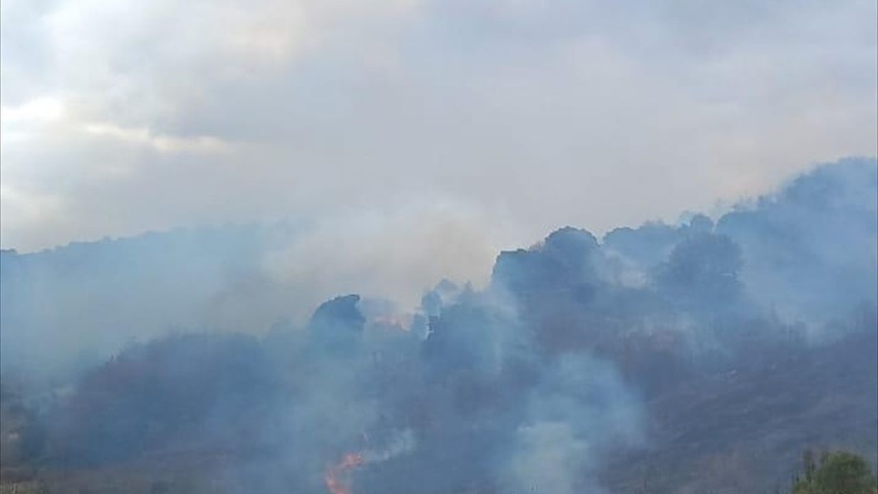 Çanakkale Biga'da Orman Yangınına Müdahale Başlatıldı