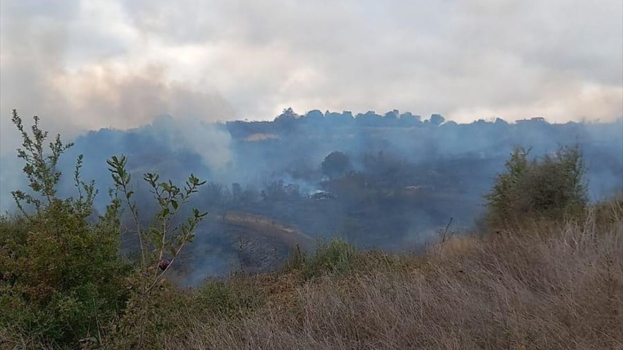 Çanakkale'de Orman Yangını Kontrol Altına Alındı