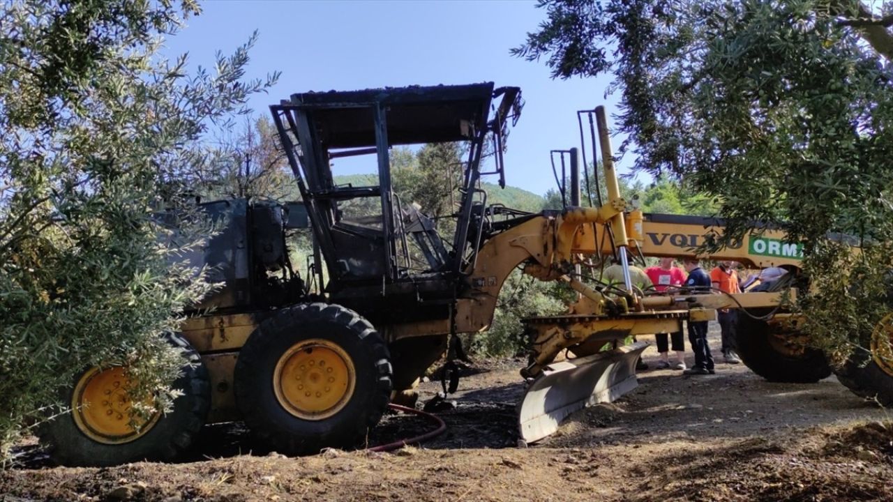 Orhangazi'de Zeytinliğe Sıçrayan Yangın Kontrol Altına Alındı