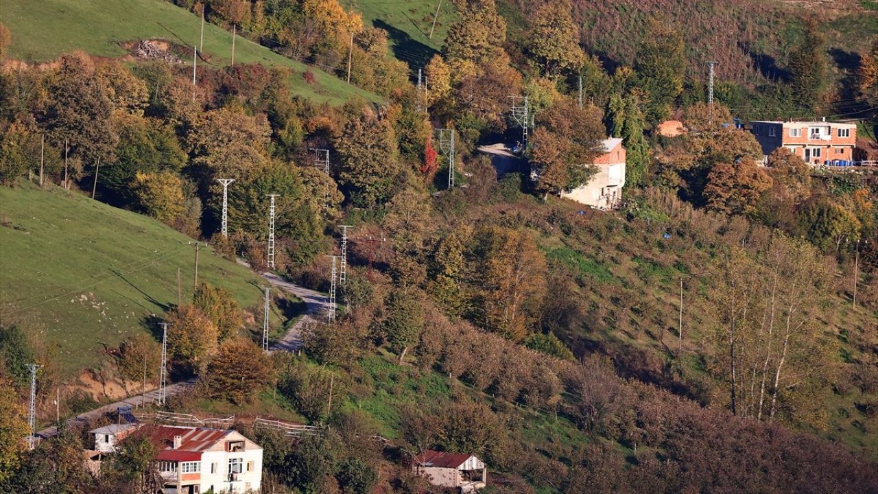 Nebiyan Dağı Sonbaharda Estetik Renk Cümbüşü Yaşatıyor