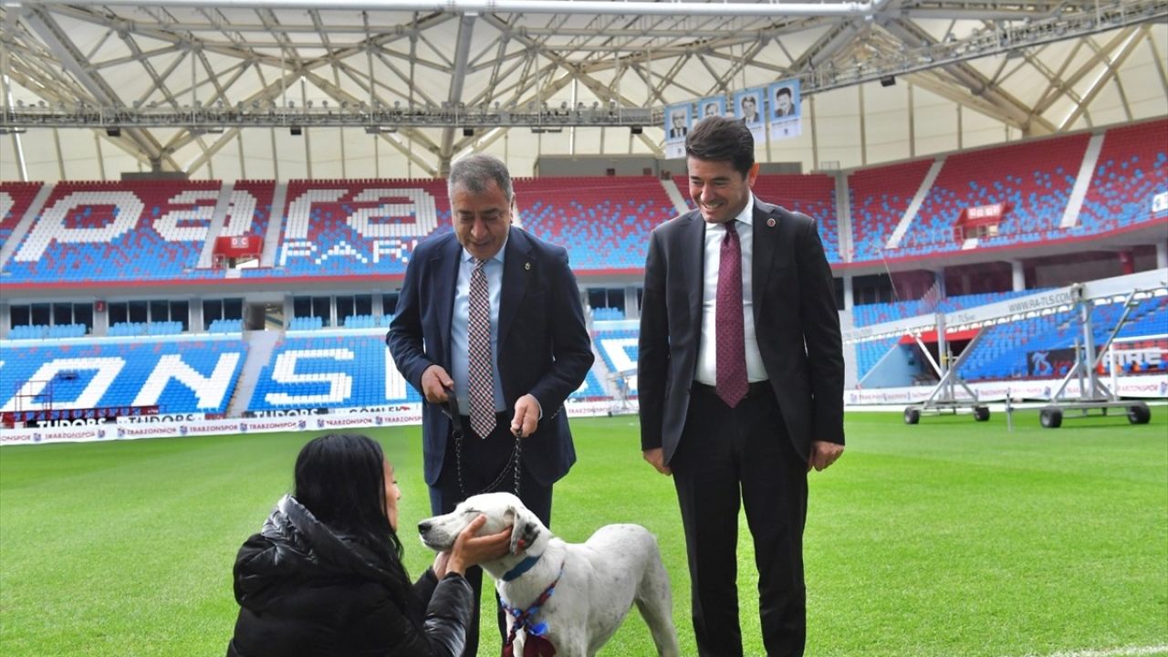 Trabzonspor Kulübü, Maç Öncesi Sahaya Giren Köpeği Sahiplendi