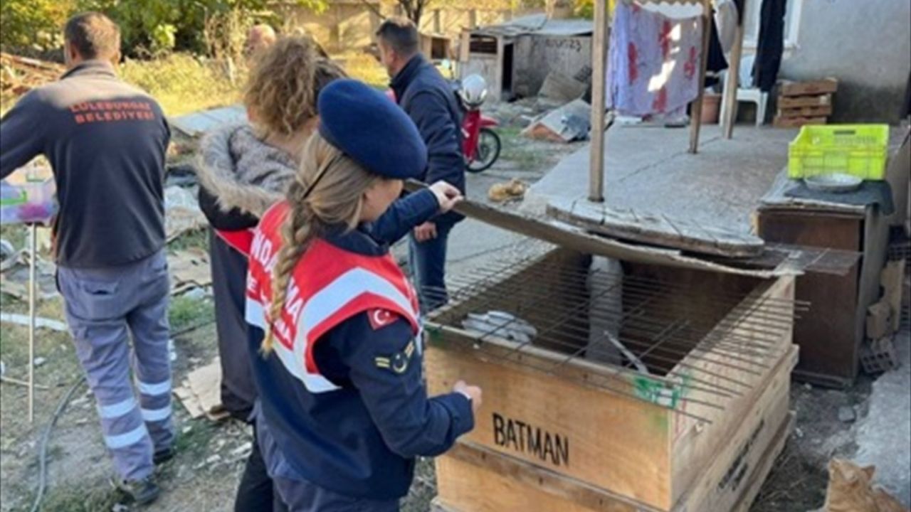 Kırklareli'nde Yasaklı Irk Köpek Besleyene Yüksek Ceza