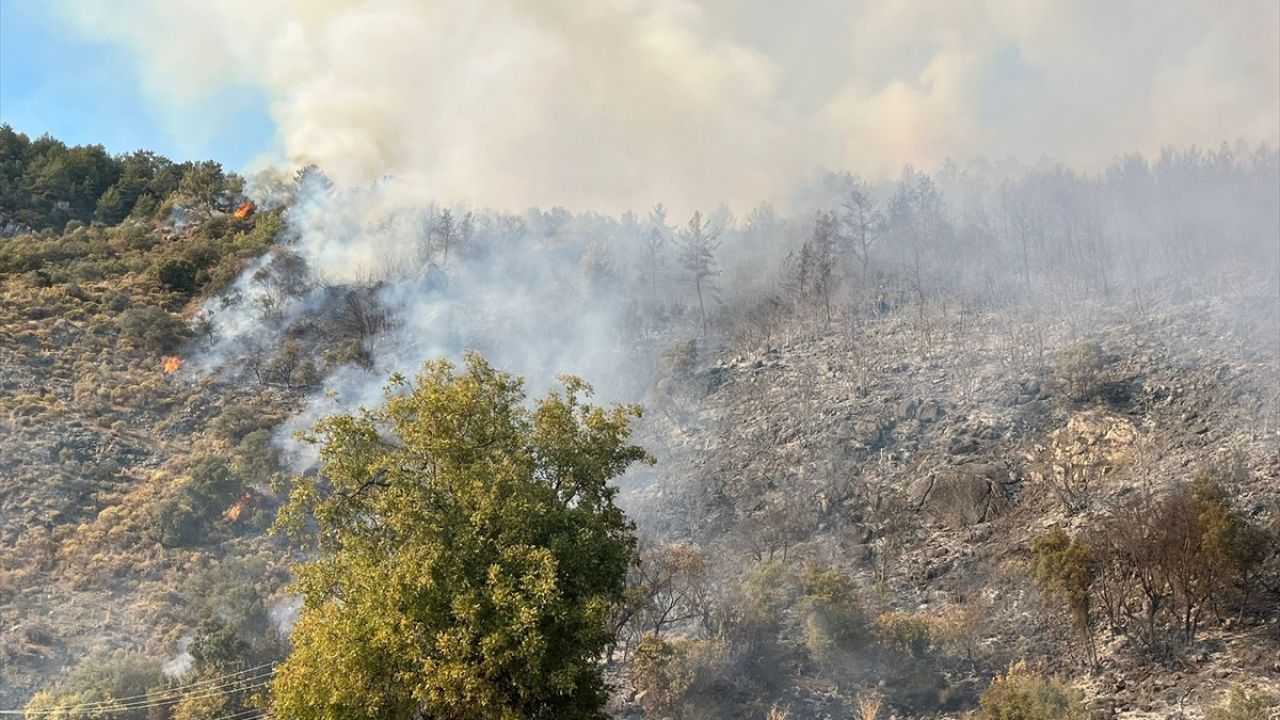 Antalya'da Orman Yangınına Hızla Müdahale Ediliyor