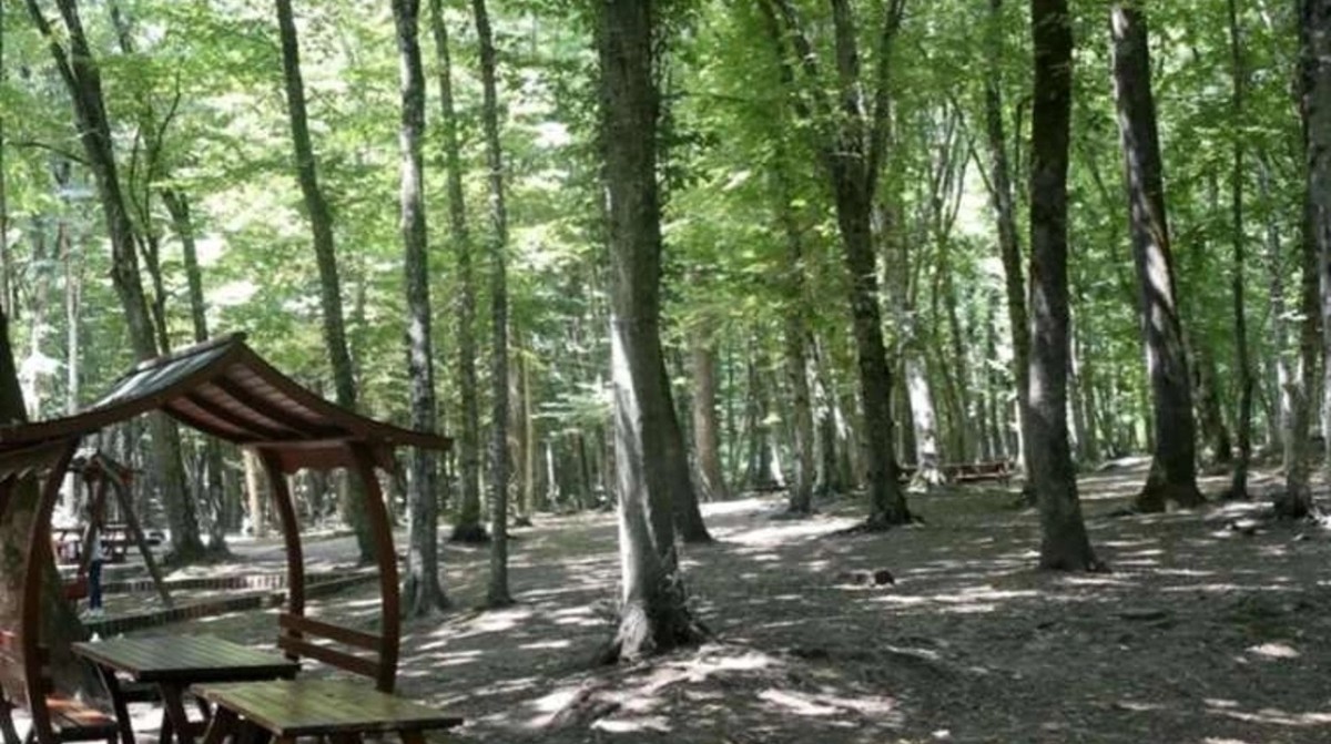 İstanbul Valiliği, ormanlık alanlara girişleri yasakladı